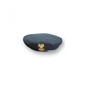BERET PSP