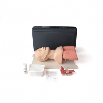 LAERDAL AIRWAY MANAGEMENT TRAINER MANEKIN TRENINGOWY DO NAUKI INTUBACJI