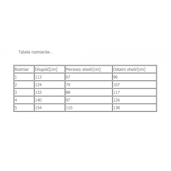 PAS OFICERSKI SKÓRZANY PSP/OSP Z BOJÓWKAMI (SREBRNA KLAMRA) SR